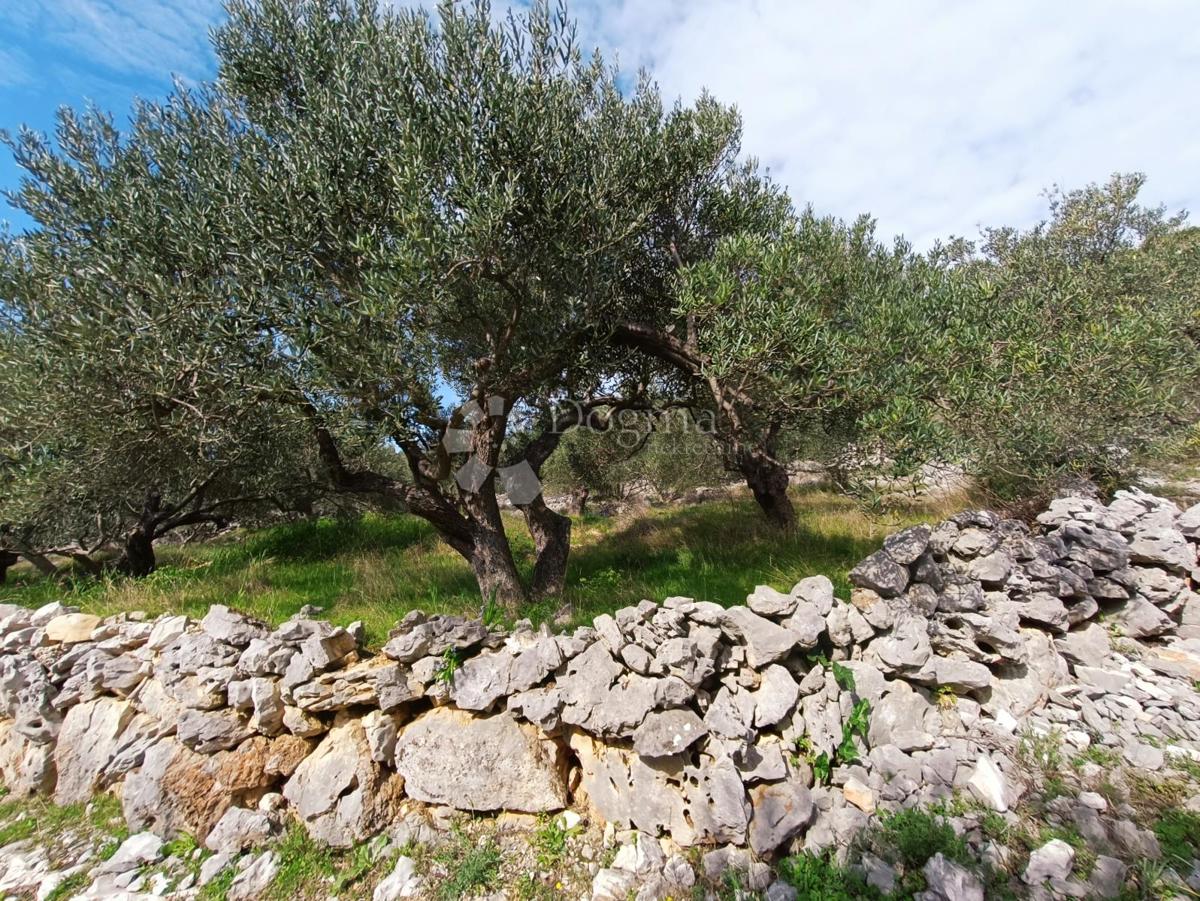 Zemljišče Marina, 4.704m2