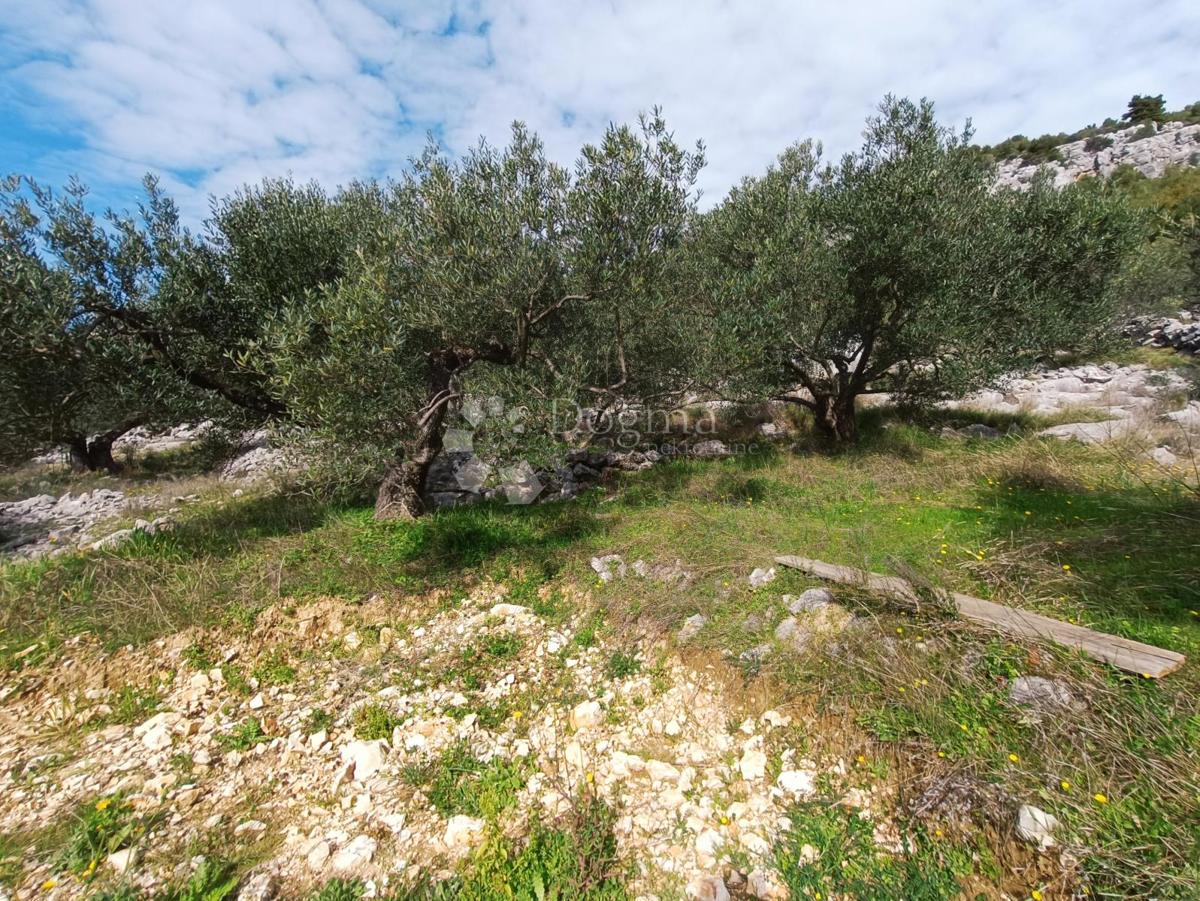 Zemljišče Marina, 4.704m2