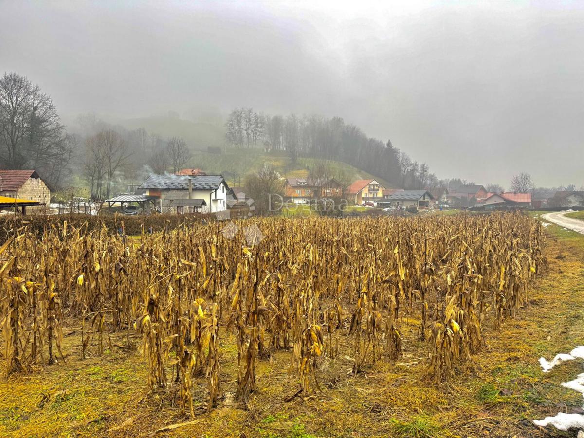 Zazidljivo zemljišče Babinec, Cestica, 1.140m2