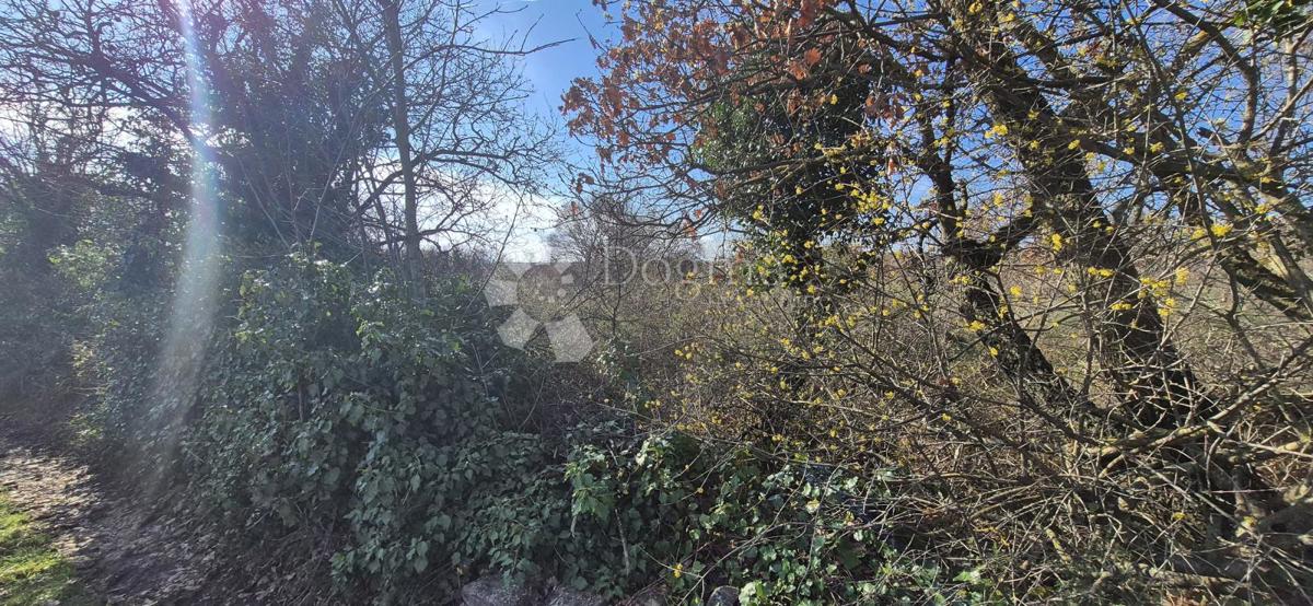 Zazidljivo zemljišče Peruški, Marčana, 4.576m2