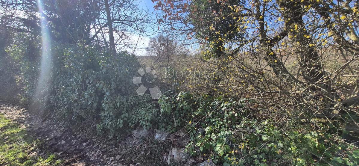 Zazidljivo zemljišče Peruški, Marčana, 4.576m2