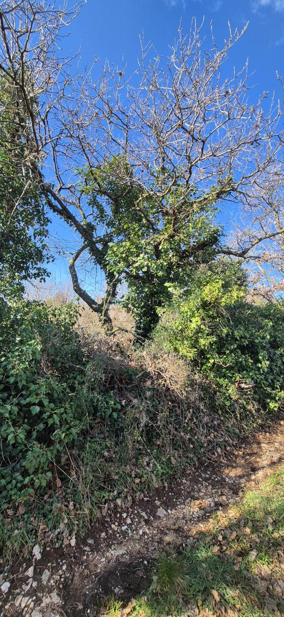 Zazidljivo zemljišče Peruški, Marčana, 4.576m2