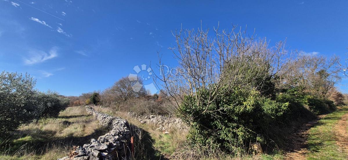 Zazidljivo zemljišče Peruški, Marčana, 4.576m2