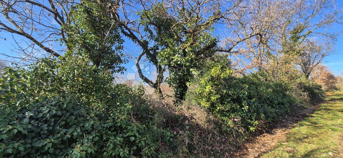 Zazidljivo zemljišče Peruški, Marčana, 4.576m2