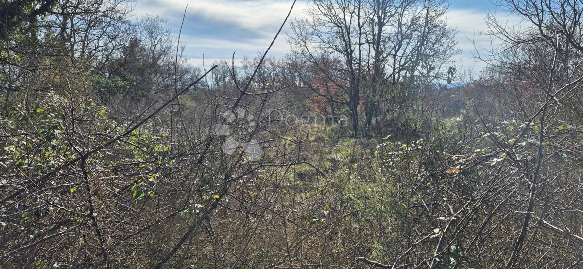 Zazidljivo zemljišče Peruški, Marčana, 4.576m2