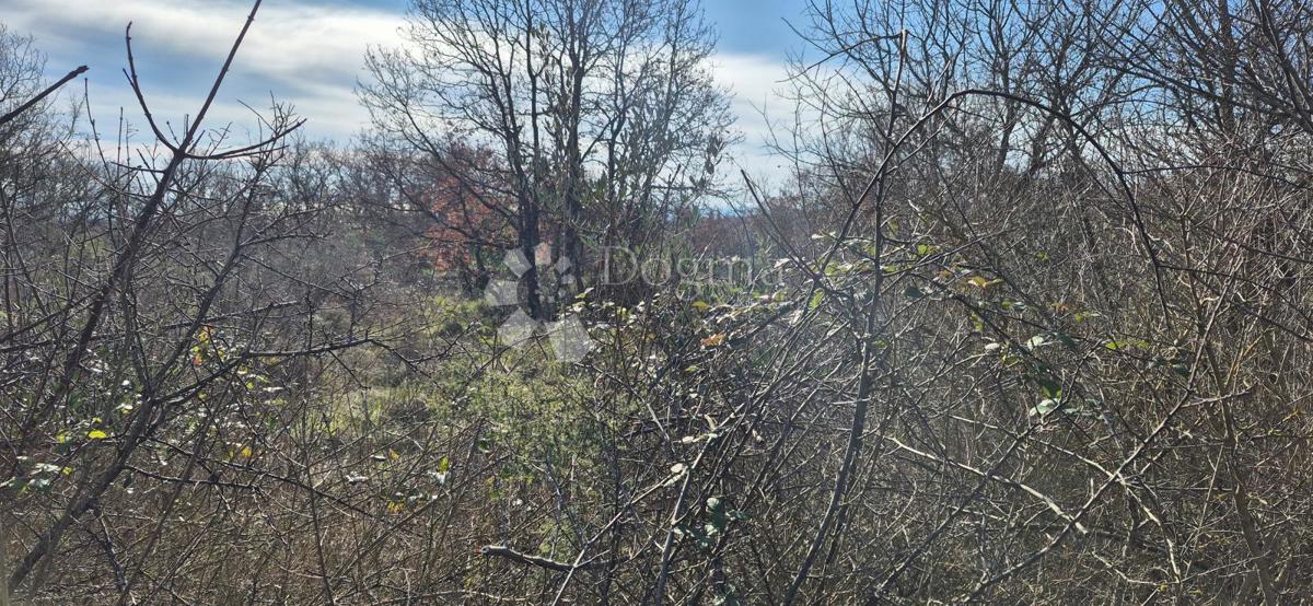 Zazidljivo zemljišče Peruški, Marčana, 4.576m2