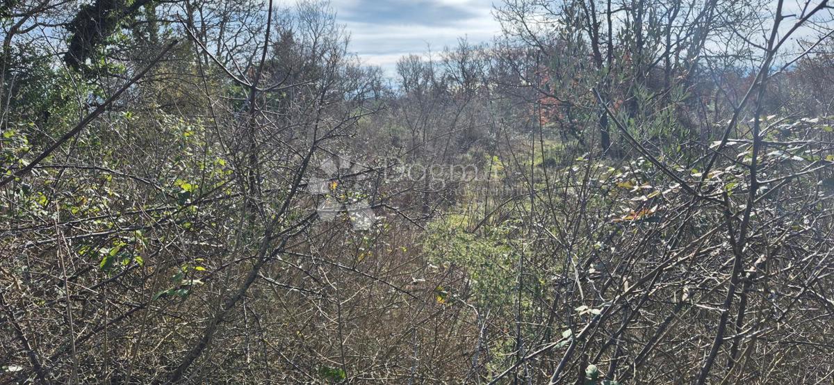 Zazidljivo zemljišče Peruški, Marčana, 4.576m2