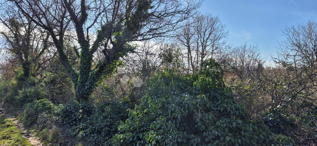 Zazidljivo zemljišče Peruški, Marčana, 4.576m2