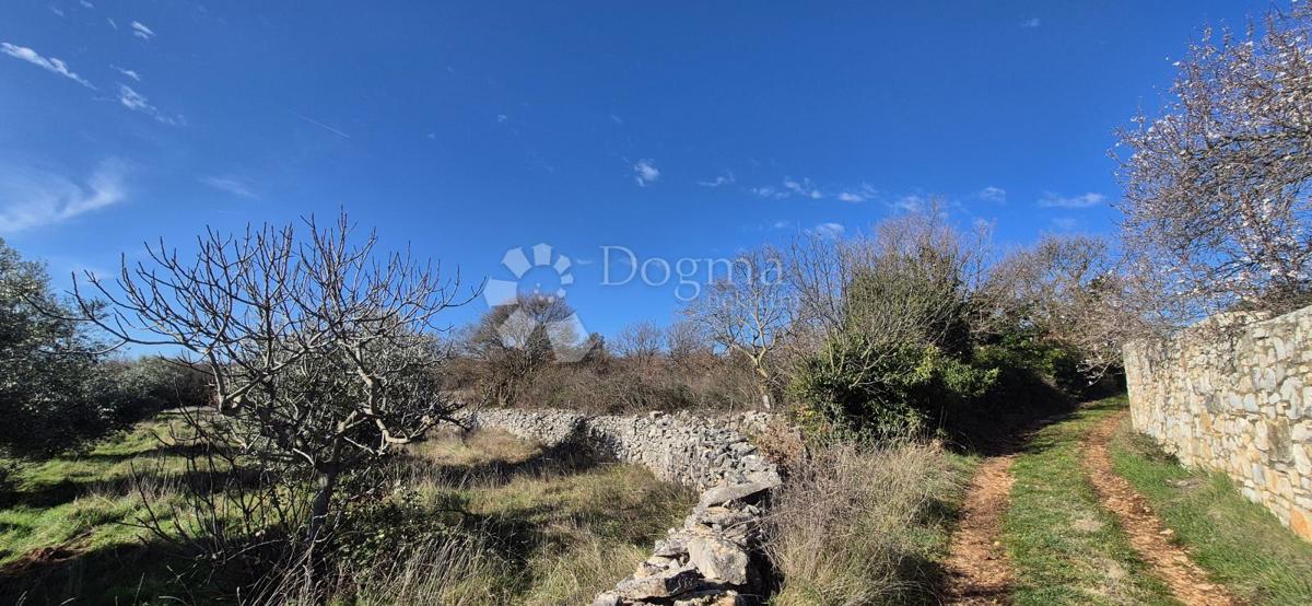 Zazidljivo zemljišče Peruški, Marčana, 4.576m2