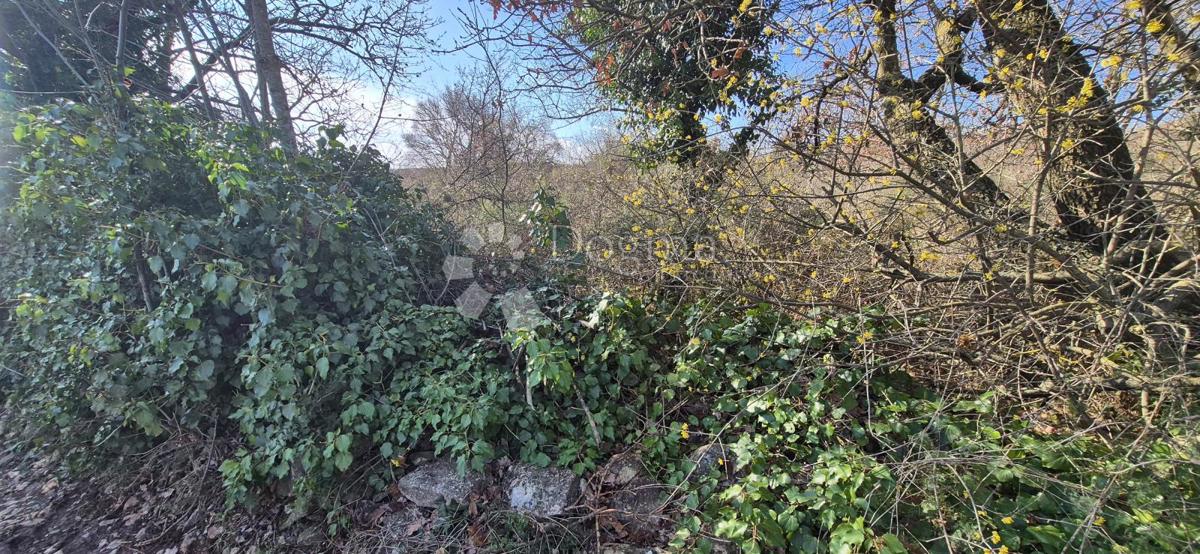 Zazidljivo zemljišče Peruški, Marčana, 4.576m2