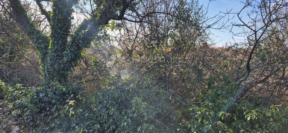 Zazidljivo zemljišče Peruški, Marčana, 4.576m2