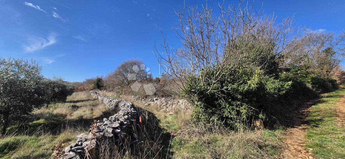 Zazidljivo zemljišče Peruški, Marčana, 4.576m2