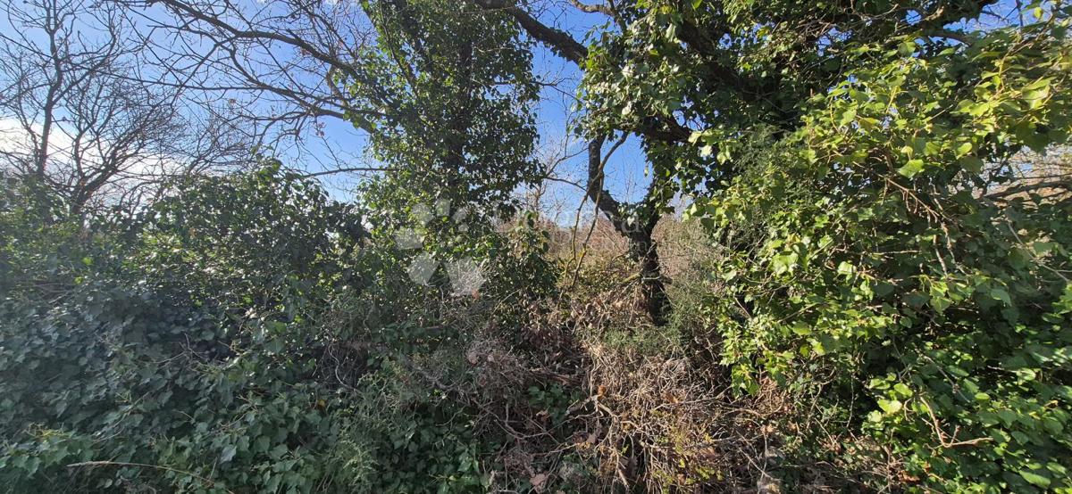 Zazidljivo zemljišče Peruški, Marčana, 4.576m2