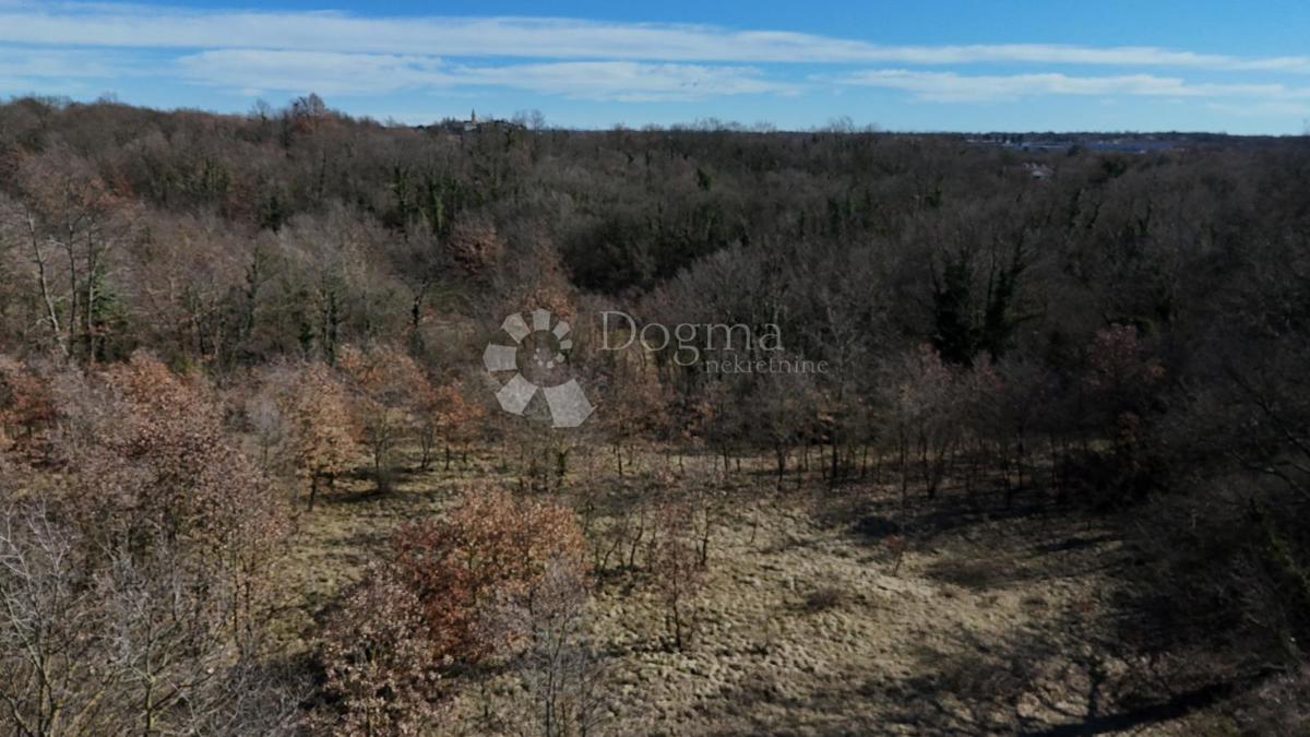 Zazidljivo zemljišče Orbanići, Žminj, 3.000m2
