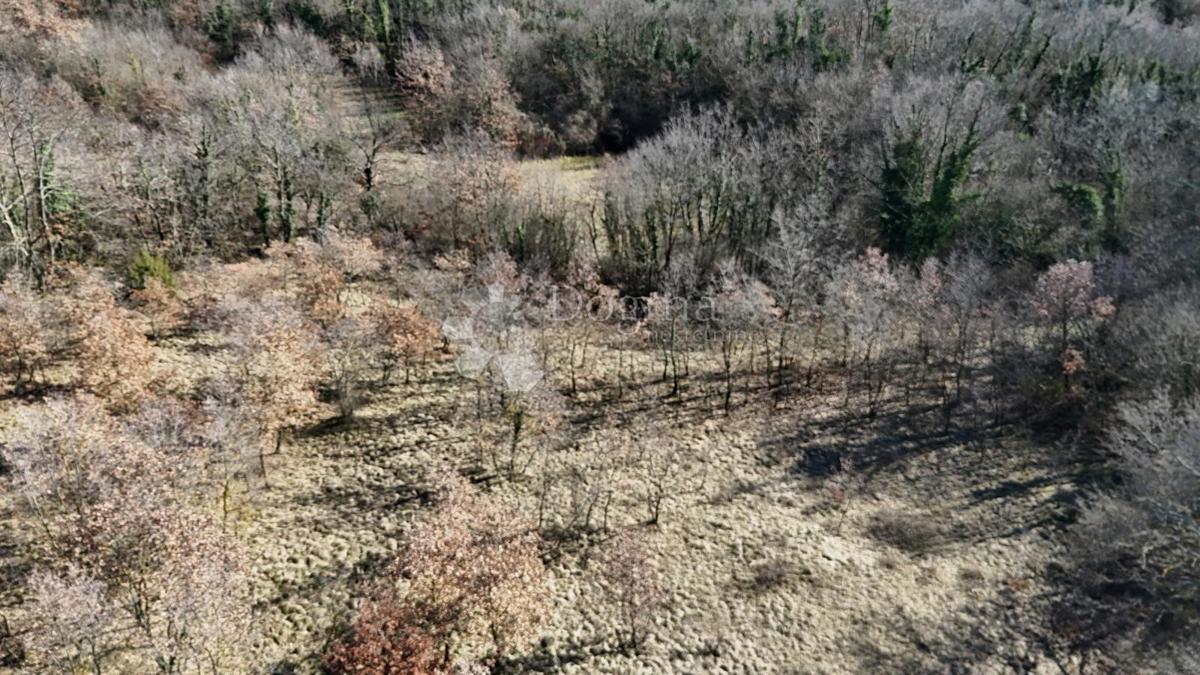 Zazidljivo zemljišče Orbanići, Žminj, 3.000m2