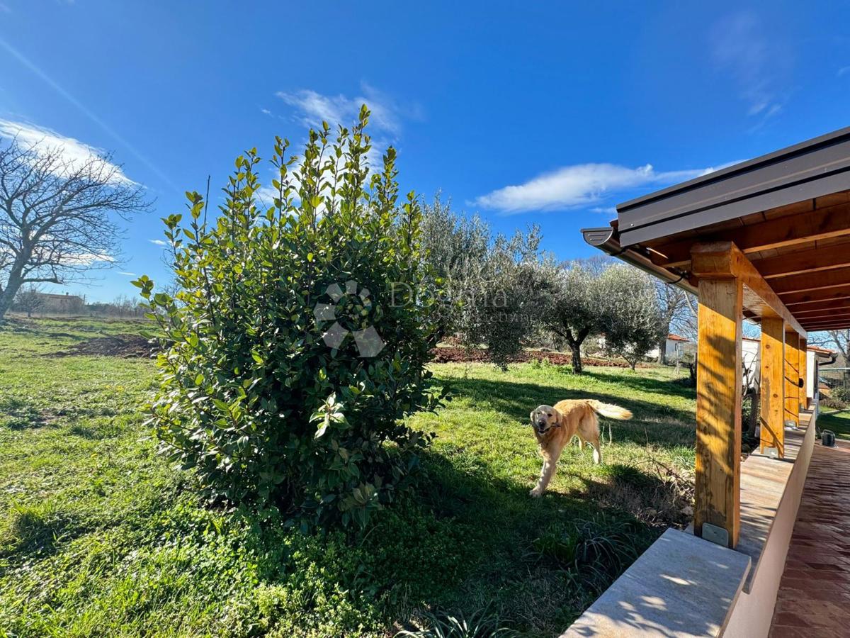 Hiša Puntera, Barban, 69m2