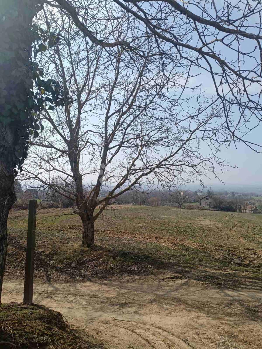 Hiša Branjin Vrh, Beli Manastir, 36m2