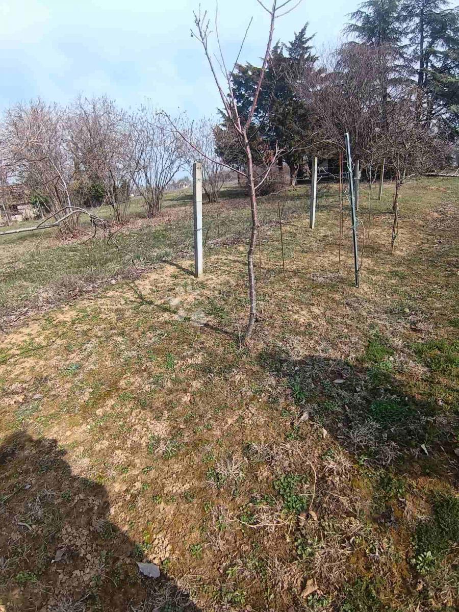 Hiša Branjin Vrh, Beli Manastir, 36m2