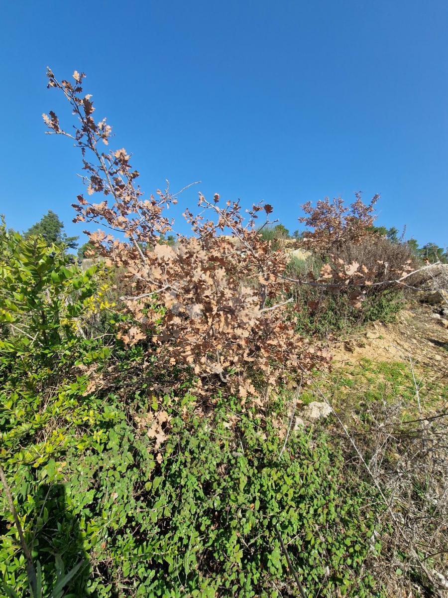 Zazidljivo zemljišče Radovin, Ražanac, 500m2