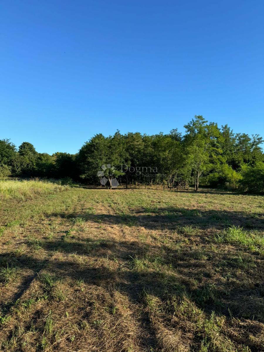Kmetijsko zemljišče Umag, 570m2