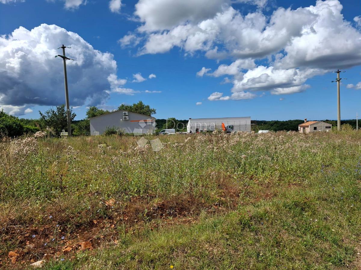 TINJAN - Gradbeno zemljišče 1200m2 POGLED NA MORJE