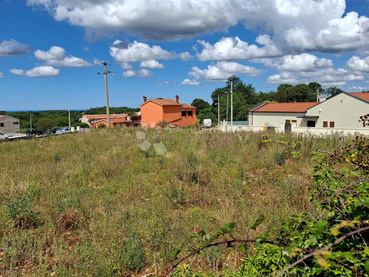 TINJAN - Gradbeno zemljišče 1200m2 POGLED NA MORJE