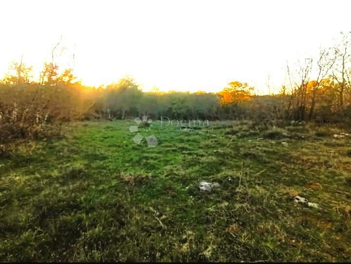 Kmetijsko zemljišče Bale, 22.277m2