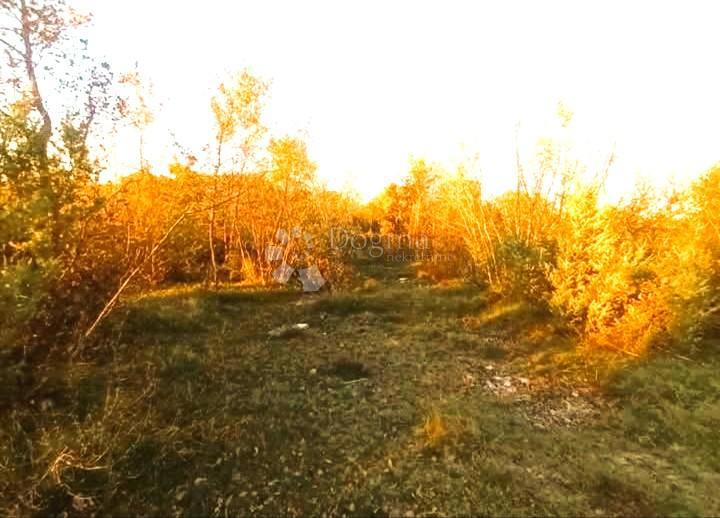 Kmetijsko zemljišče Bale, 22.277m2