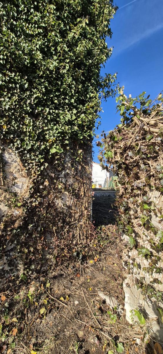 Hiša Juršići, Svetvinčenat, 166m2