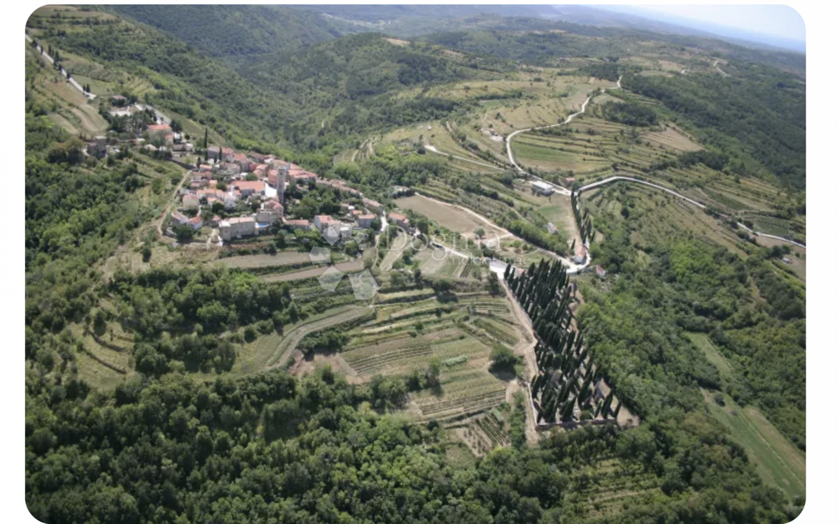 Zazidljivo zemljišče Oprtalj, 2.650m2