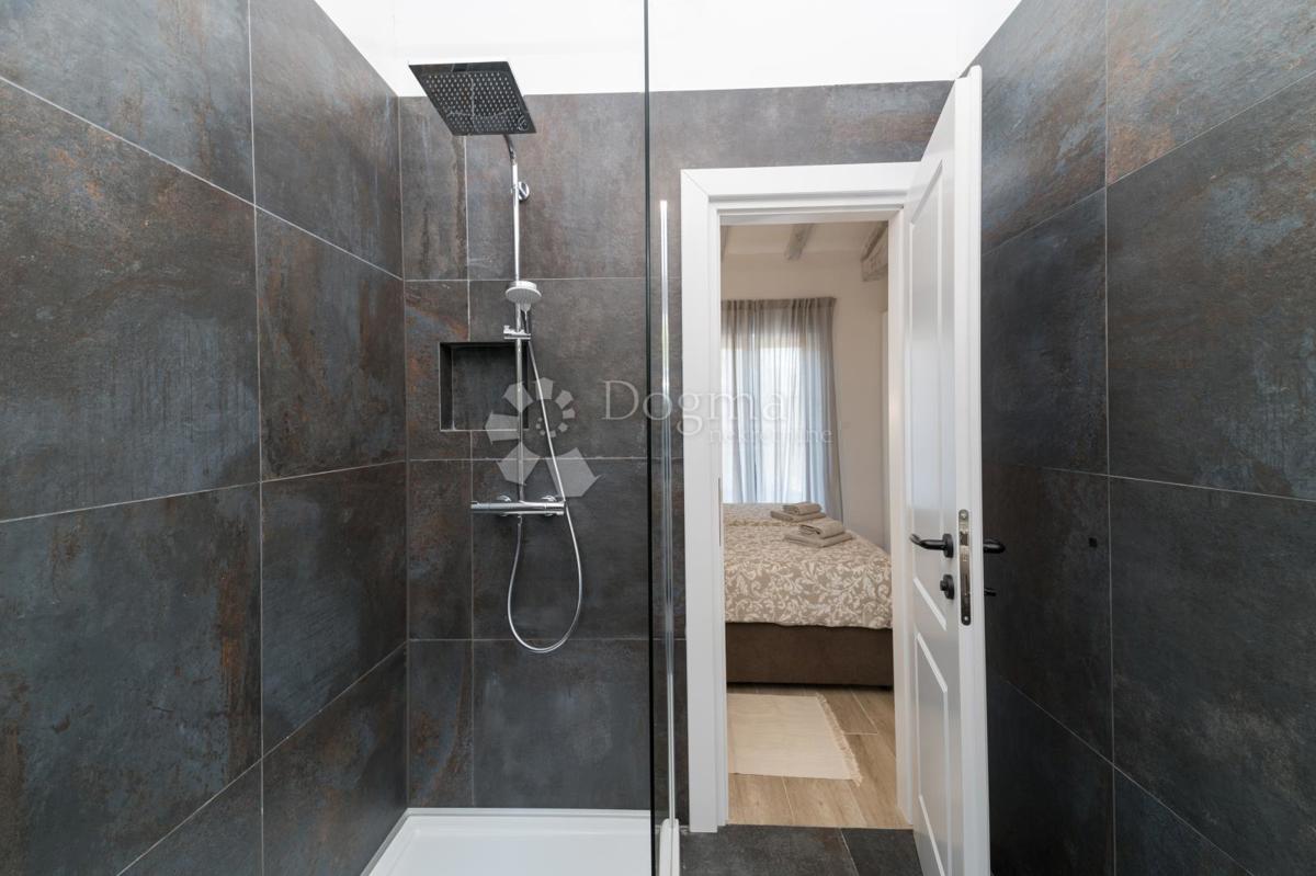 Hiša Vižinada, 250m2