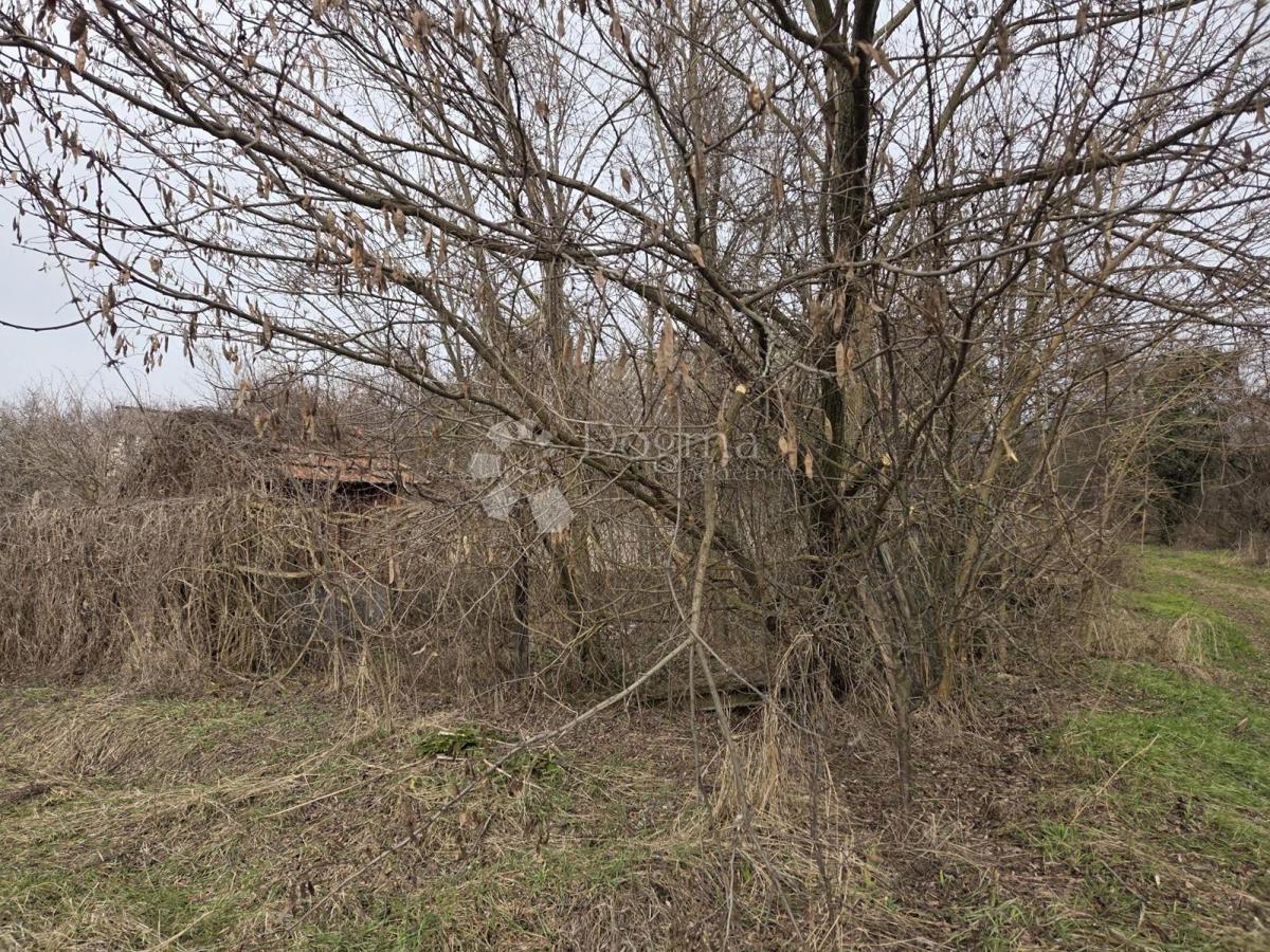 Hiša Dalj, Erdut, 50m2