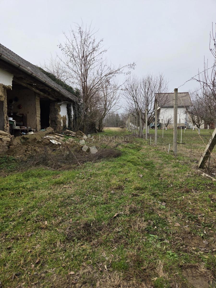 Hiša Dalj, Erdut, 50m2