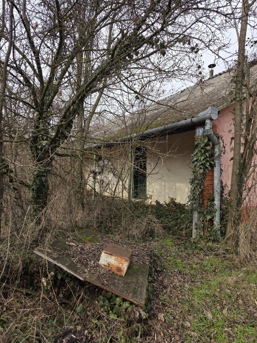 Hiša Dalj, Erdut, 50m2