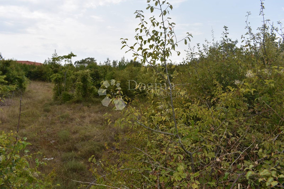 Zemljišče Kršan, 4.000m2