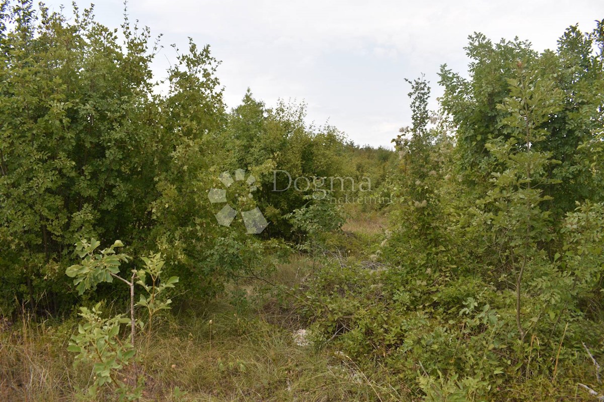 Zemljišče Kršan, 4.000m2