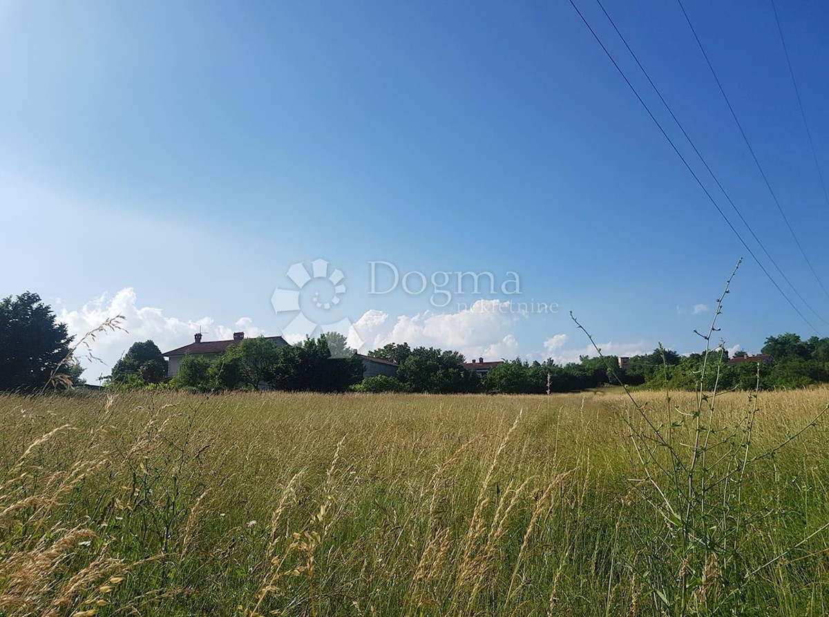 Zazidljivo zemljišče Kršan, 6.486m2