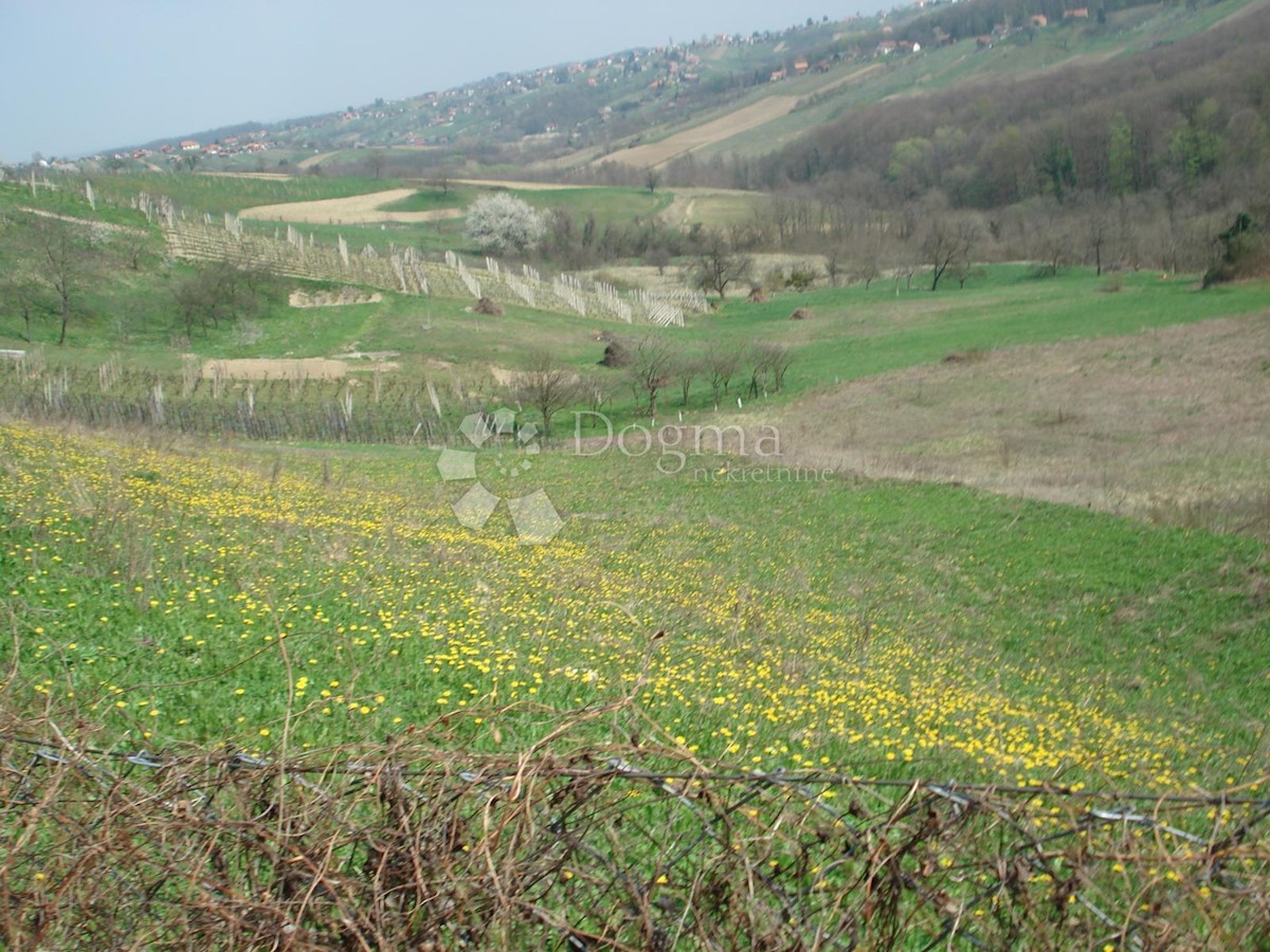 Zemljišče Varaždin Breg, Gornji Kneginec, 9.000m2