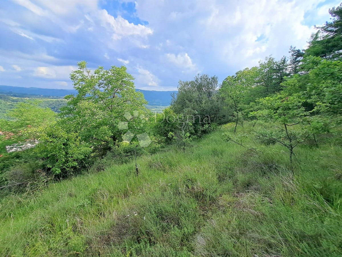 Zemljišče Sovinjska Brda, Buzet, 557m2