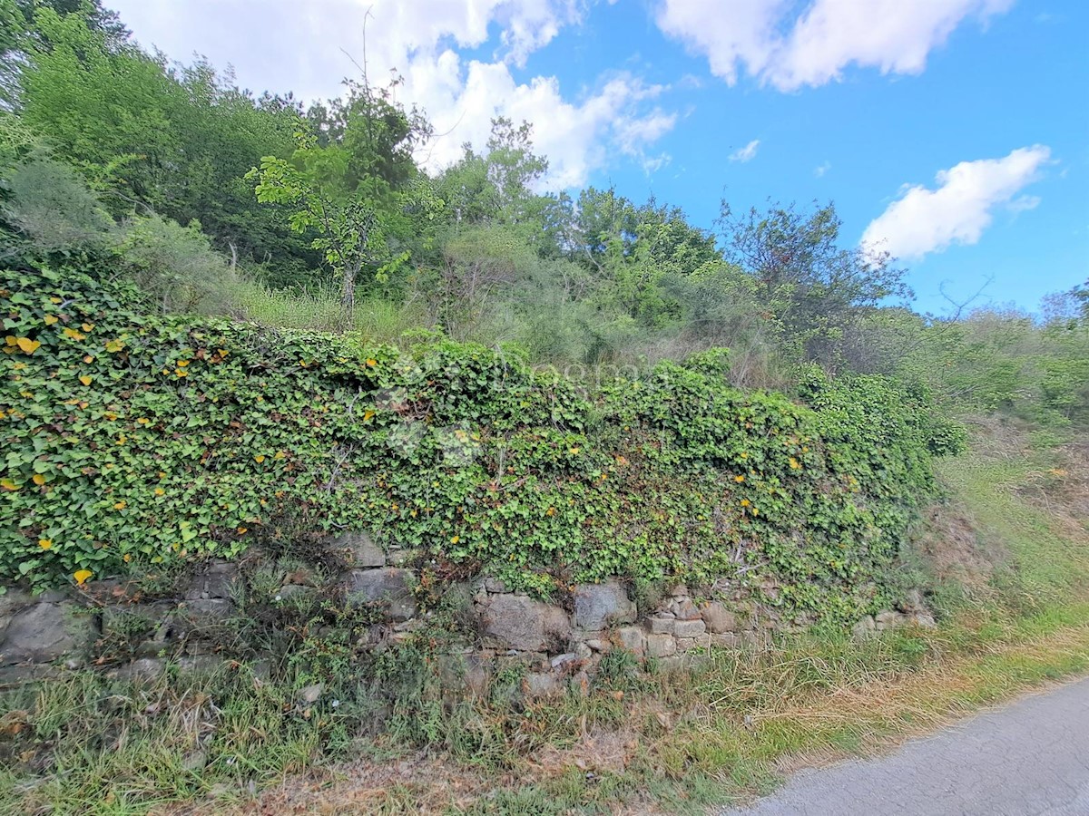 Zemljišče Sovinjska Brda, Buzet, 557m2