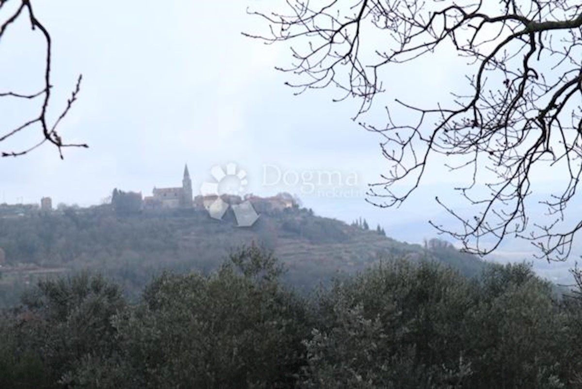 Zemljišče Martinčići, Grožnjan, Cerije, 3.713m2