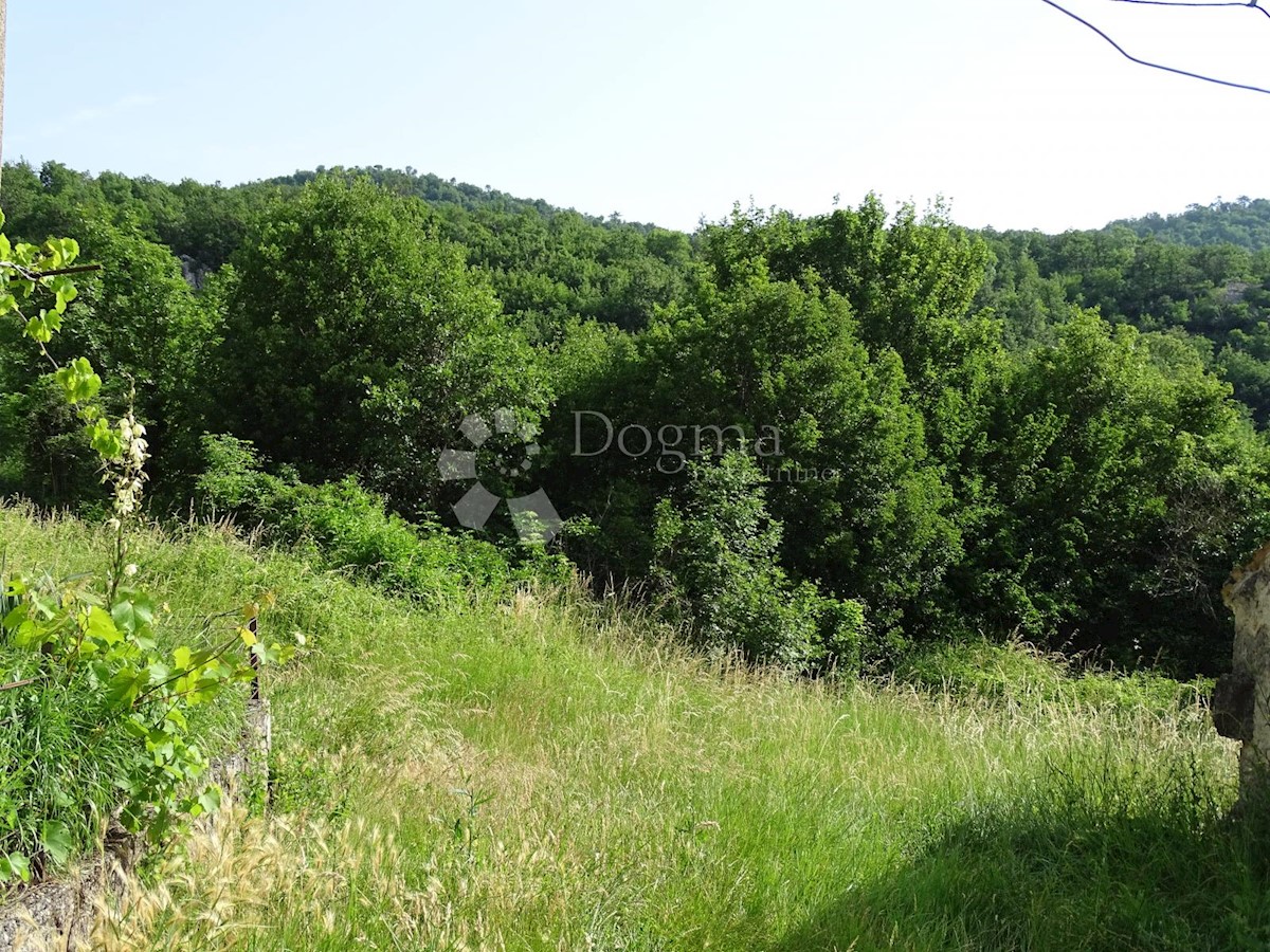 Zemljišče Ročko Polje, Buzet, 5.433m2