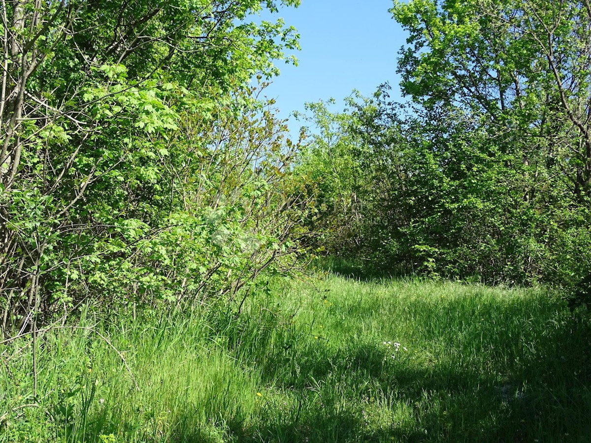 Zemljišče Ročko Polje, Buzet, 5.433m2