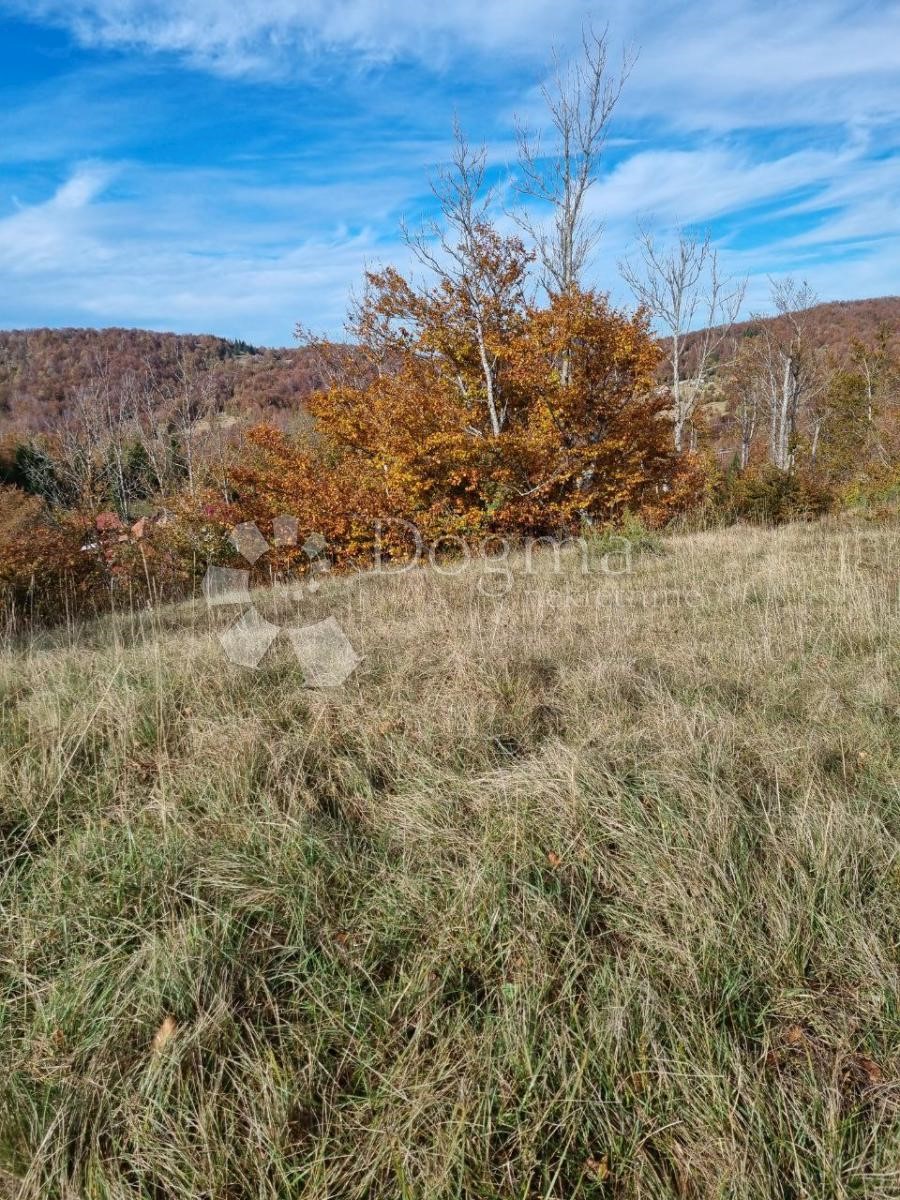 Zemljišče Mrkopalj, 3.000m2