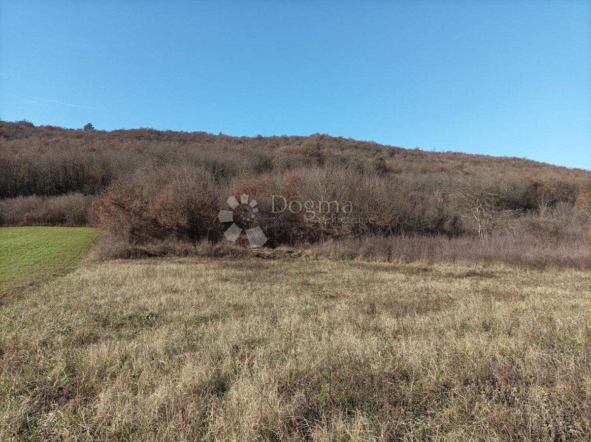 Zemljišče Kanfanar, 3.610m2