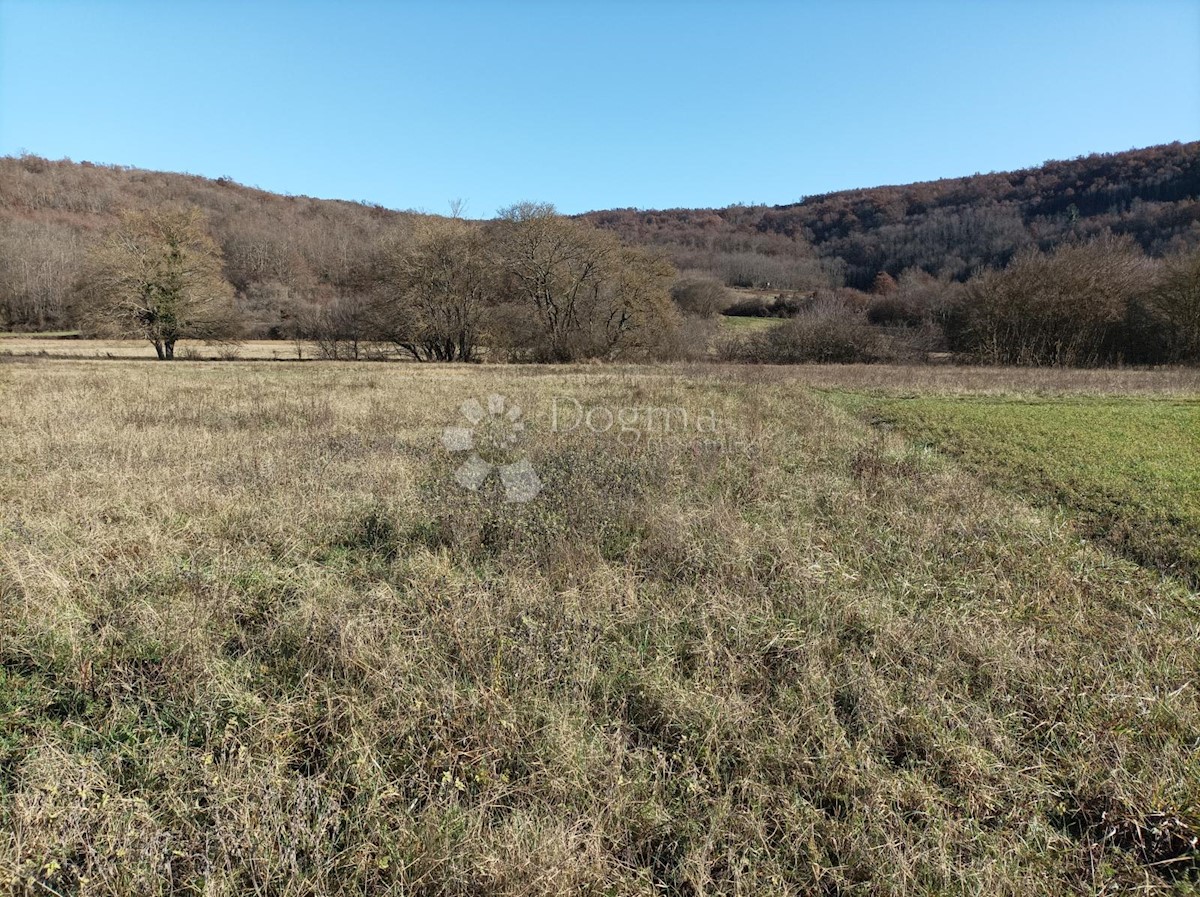 Zemljišče Kanfanar, 3.610m2