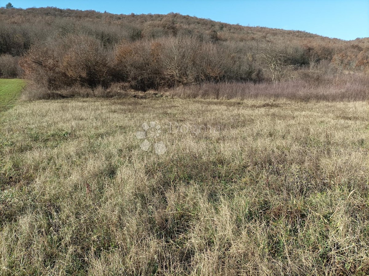 Zemljišče Kanfanar, 3.610m2