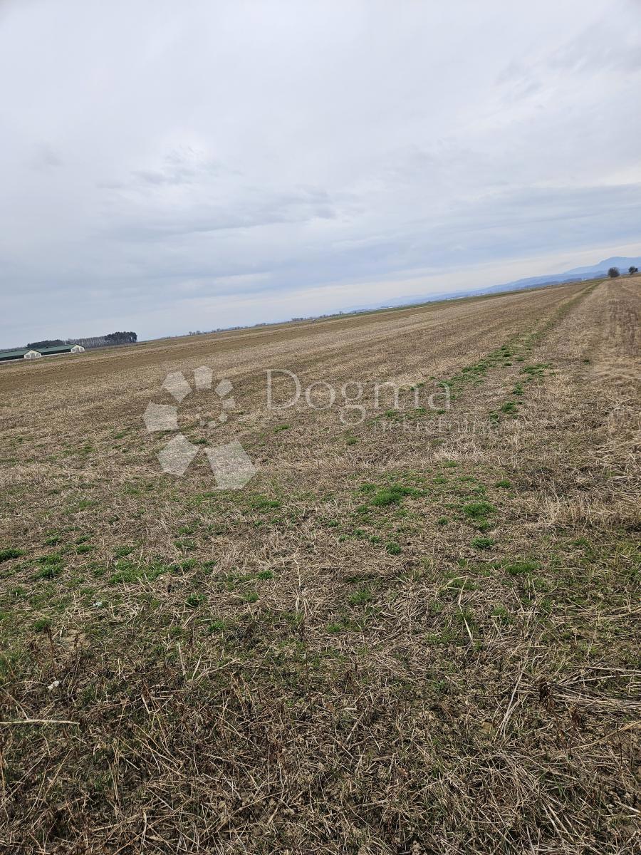 Zemljišče Donje Ladanje, Maruševec, 9.038m2