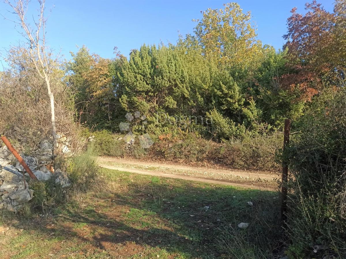 Zemljišče Fažana, 1.017m2