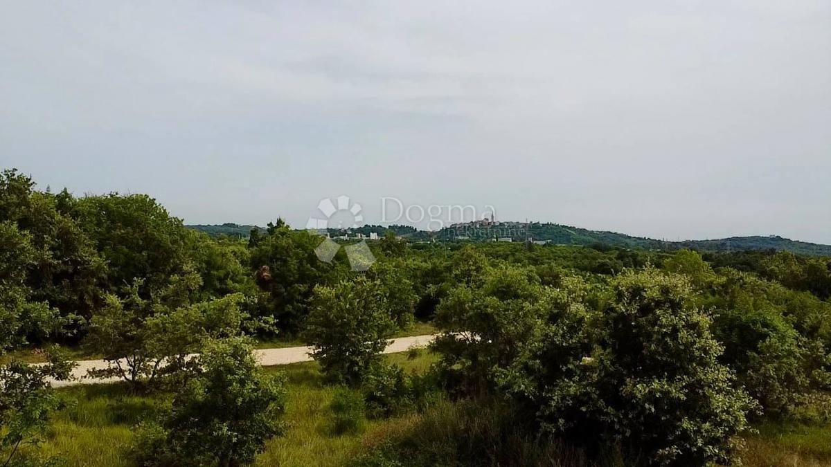 ZEMLJIŠČE S PROJEKTOM IN POGLEDOM NA MESTO, 10 MINUT OD MORJA IN PORTOROŽA